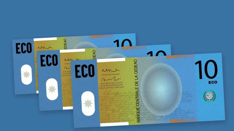 Eco CEDEAO : LA MONNAIE COMMUNE DE 2027 RESTE UNE CHIMERE, SELON LES EXPERTS