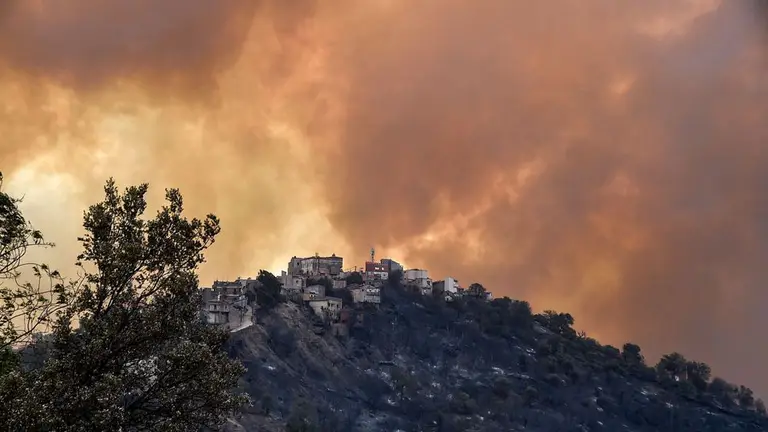 Algérie : TROIS JOURS DE DEUIL NATIONAL DECRETES APRES LES INCENDIES MEURTRIERS DANS LE NORD-EST