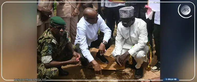 Reboisement : TAMBACOUNDA VISE A REALISER 100 HECTARES DE PLANTATION CONSERVATOIRE EN 2026 (IREF)