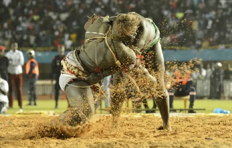 Lutte sénégalaise : LA NOUVELLE FEDERATION INSTALLEE, EN ROUTE VERS LES JO DE LA JEUNESSE 2026